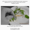 만호농장 이미지