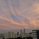 헌춘부부의 소소한 일상 기록 #1