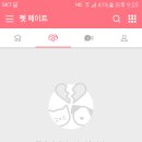 언니네 펫 이미지