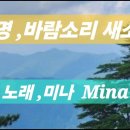 곡명 . 바람소리 새소리 / 노래 미나 Mina 이미지