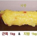 현주테크 이미지