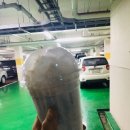 수원-0219 이미지