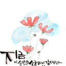 2026年(丙午年) 8月15日 토요 웰빙 댄스 동호회 영등포 금마차 나은님(호박시루떡&amp;과일&amp;잡체&amp;편육) 이미지