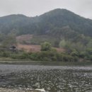 산새소리물소리 이미지