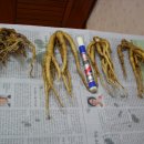 도마1리 이미지