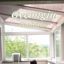 풀빌라 런투유 경주B 이미지