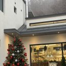 언니도그 | [행복했던 날들이었다] 양평 애견동반 가족여행 펜션 후기(메리도그하우스)