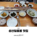 해왓 | 성산일출봉 맛집, 압도적인 비주얼 통갈치 해왓 솔직후기