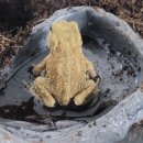 준성2농장 이미지