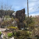 자연미림 | 남원 애견 동반 식당 : 자연 미림(전북 남원 셀프 바베큐 / 남원 고깃집 추천 / 내돈내산)