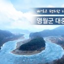 신비나리투어