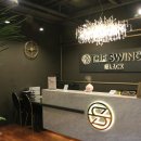 동탄골프레슨 초보자가 추천하는 더스윙블랙