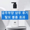 공주부양 샴푸 가히 엑스트라 볼륨 부스터 샴푸 후기 효능 탈모 개선