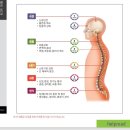 로드메디칼 이미지