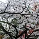 아리산 - 달서구 달구벌대로291길 57 | 아리산