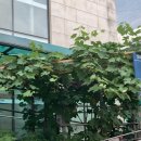 송중문화정보도서관 이미지