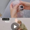 꼼꼼하개 이미지