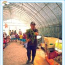 만석군농장 이미지