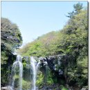 천제연폭포 이미지