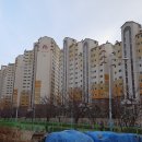 신호민원센터 이미지