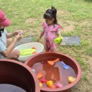 지아 농장 이미지