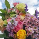 신당농장 이미지