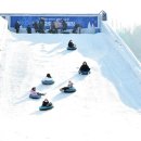 도봉-도봉-서울도봉-2545 이미지