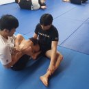 알파레슬링 이미지