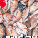 피싱펜션 이미지