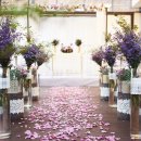 아모르 하우스 이미지