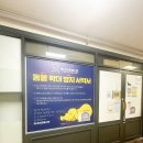 데이도그 | 부천 애견호텔 놀이방 데이케어 추천 활동량 많은 아이에게 딱이었던 도그인포레스트 후기