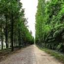 매봉산_숲길(등산)1코스 이미지