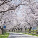 양평체육공원길 이미지