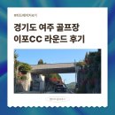 조앤리헤어클럽여주점 - 여주시 세종로14번길 7 | 경기도 여주 골프장 이포CC 4월의 라운드 후기 (골퍼의 오운완, 코스 상태)