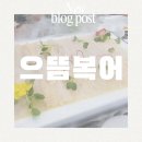 제주 으뜸복어집 현지인이 가는 복어 맛집 다녀온 후기