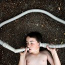 고요한 시선 이미지