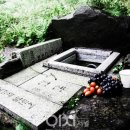 남강하천1 이미지