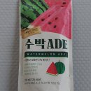세븐일레븐 편의점 웰그린) 수박에이드 230ml 후기
