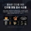 가톨릭치과 이미지
