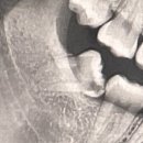 닥터오치과의원 이미지