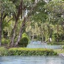 아남세탁 이미지