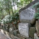 대신공원 이미지