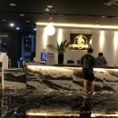 (주)온힐펫 네이버블로그