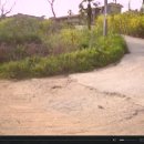 다윗농장 이미지