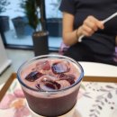 태안군보건의료원 | 충남 태안 카페 추천 블루베리 팜