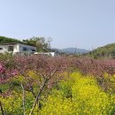 시골책방봄날 이미지