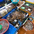 호남수산 이미지