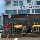 [송정칼국수/송정맛집] 탱글탱글 낙지한가득 낙지비빔칼국수 송정애견동반식당 ‘송정물총칼국수’