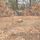 화원명곡숲 이미지