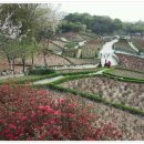 부천혜림원 이미지